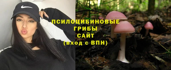 твердый Нефтекумск