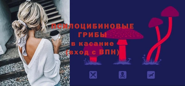 твердый Нефтекумск