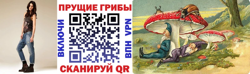 Галлюциногенные грибы Cubensis Краснослободск